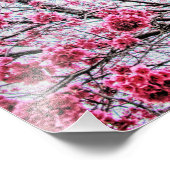 Zweige und Blüten eines Kirchenbaumes Fotodruck (Ecke)