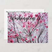 Zweige und Blüten eines Kirchenbaumes Postkarte (Vorne/Hinten)