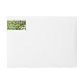 Zweige von Dogwood-Blüten Frühlingsbäume (Vorderseite)