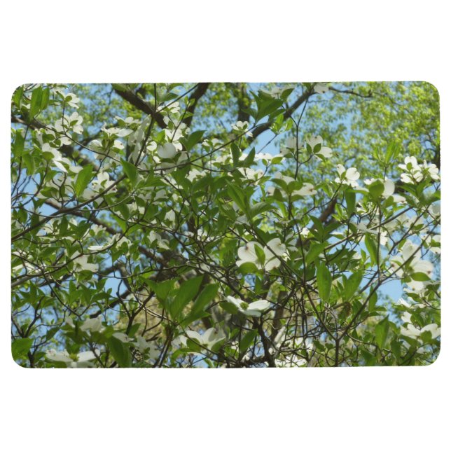 Zweige von Dogwood-Blüten Frühlingsbäume Bodenmatte (Vorderseite)