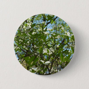 Zweige von Dogwood-Blüten Frühlingsbäume Button