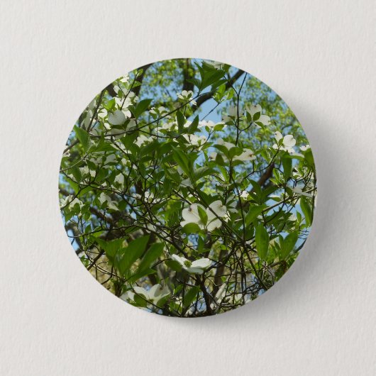 Zweige von Dogwood-Blüten Frühlingsbäume Button (Vorderseite)