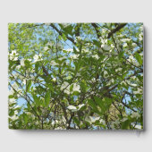 Zweige von Dogwood-Blüten Frühlingsbäume Gästebuch (Rückseite)