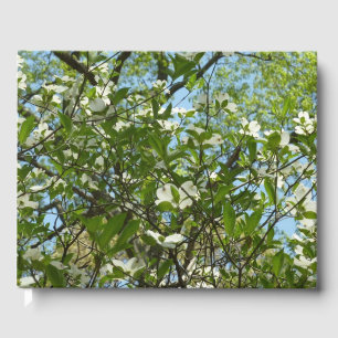 Zweige von Dogwood-Blüten Frühlingsbäume Gästebuch