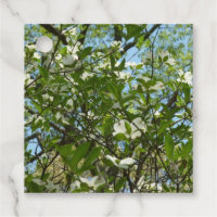 Zweige von Dogwood-Blüten Frühlingsbäume