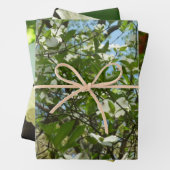 Zweige von Dogwood-Blüten Frühlingsbäume Geschenkpapier Set (Beispiel)