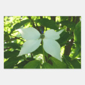 Zweige von Dogwood-Blüten Frühlingsbäume Geschenkpapier Set (Vorderseite 3)