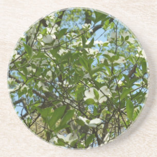 Zweige von Dogwood-Blüten Frühlingsbäume Getränkeuntersetzer