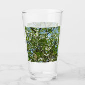 Zweige von Dogwood-Blüten Frühlingsbäume Glas (Vorderseite)