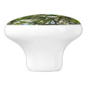 Zweige von Dogwood-Blüten Frühlingsbäume Keramikknauf (Seitenansicht)