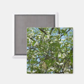 Zweige von Dogwood-Blüten Frühlingsbäume Magnet (Vorderseite/Rückseite)