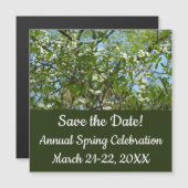 Zweige von Dogwood-Blüten Frühlingsbäume Magnetkarte (Vorne/Hinten)