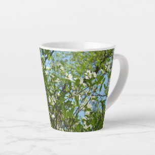 Zweige von Dogwood-Blüten Frühlingsbäume Milchtasse