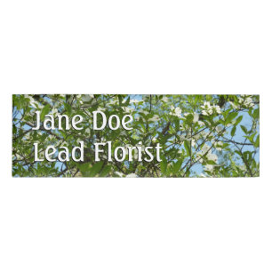 Zweige von Dogwood-Blüten Frühlingsbäume Namenschild