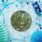 Zweige von Dogwood-Blüten Frühlingsbäume Pappteller (Party)