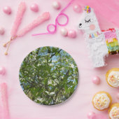 Zweige von Dogwood-Blüten Frühlingsbäume Pappteller (Party)