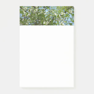 Zweige von Dogwood-Blüten Frühlingsbäume Post-it Klebezettel
