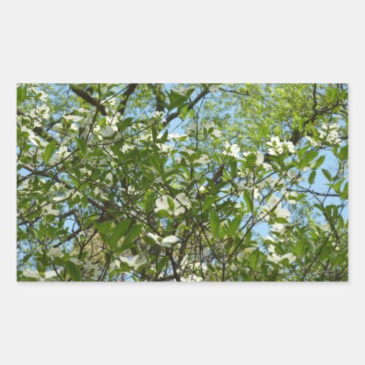 Zweige von Dogwood-Blüten Frühlingsbäume Rechteckiger Aufkleber (Vorderseite)