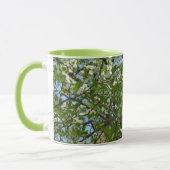 Zweige von Dogwood-Blüten Frühlingsbäume Tasse (Links)