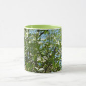 Zweige von Dogwood-Blüten Frühlingsbäume Tasse (Zentrum)