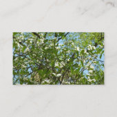 Zweige von Dogwood-Blüten Frühlingsbäume Visitenkarte (Rückseite)