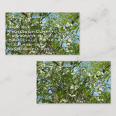 Zweige von Dogwood-Blüten Frühlingsbäume Visitenkarte (Vorne/Hinten)