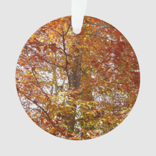 Zweige von orangen Blättern Herbst Natur Ornament
