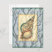 Zweige von Seashell und Bäumen Postkarte (Vorne/Hinten)