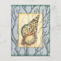 Zweige von Seashell und Bäumen