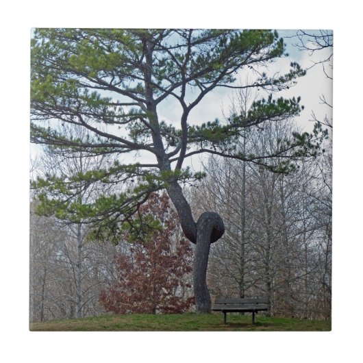 zweigezogener Baum Fliese (Vorderseite)