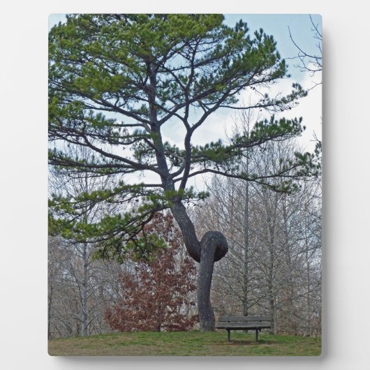 zweigezogener Baum Fotoplatte (Vorderseite)