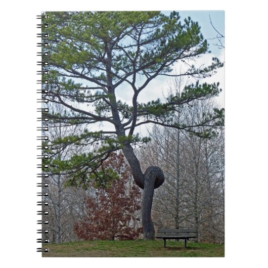zweigezogener Baum Notizblock (Vorderseite)