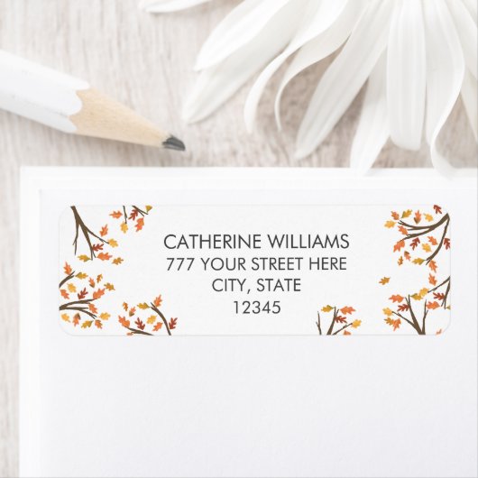 Zweigniederlassung Autum Herbstlaub der weißen Rüc (Insitu)