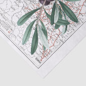 Zweigniederlassung Black Olive Map Frankreich Entd Seidenpapier (Ausschnitt)