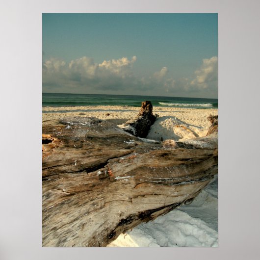 Zweigstelle am Strand Poster (Vorne)
