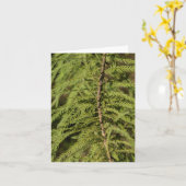 Zweigstelle Bald Cypress Karte (Gelbe Blume)