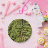 Zweigstelle Bald Cypress Pappteller (Party)