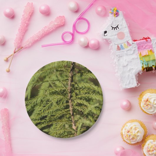 Zweigstelle Bald Cypress Pappteller (Party)