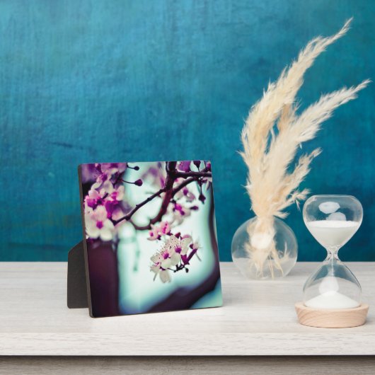 Zweigstelle Cherry Blossom Fotoplatte (InSitu)