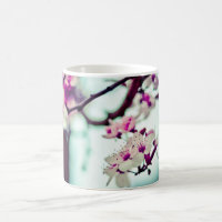 Zweigstelle Cherry Blossom