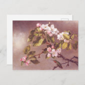 Zweigstelle Cherry Blossom Postkarte (Vorne/Hinten)