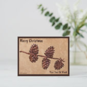 Zweigstelle für Kiefernkiefer auf Altpapier Postkarte (Stehend Vorderseite)