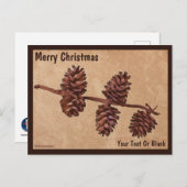 Zweigstelle für Kiefernkiefer auf Altpapier Postkarte (Vorne/Hinten)