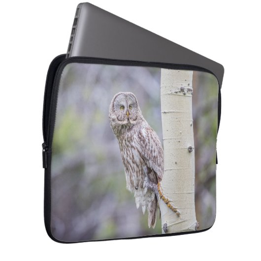 Zweigstelle Great Gray Aspen Tree Laptopschutzhülle (Vorne Rechts)