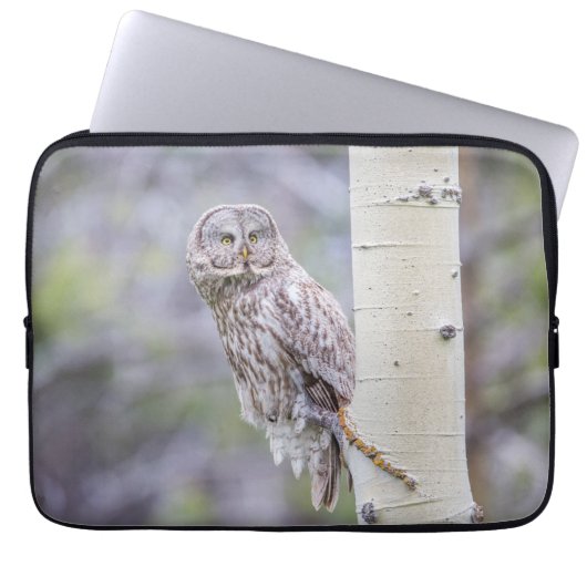 Zweigstelle Great Gray Aspen Tree Laptopschutzhülle (Vorderseite)