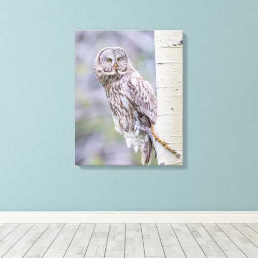 Zweigstelle Great Gray Aspen Tree Leinwanddruck (Insitu (Holzboden))