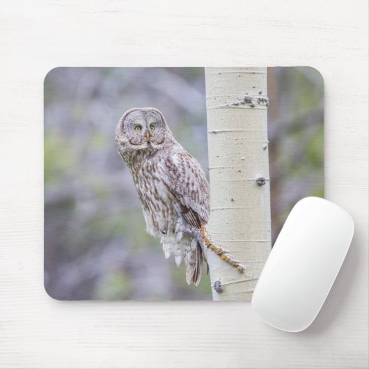Zweigstelle Great Gray Aspen Tree Mousepad (Mit Mouse)