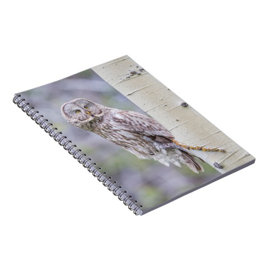 Zweigstelle Great Gray Aspen Tree Notizblock (Rechte Seite)