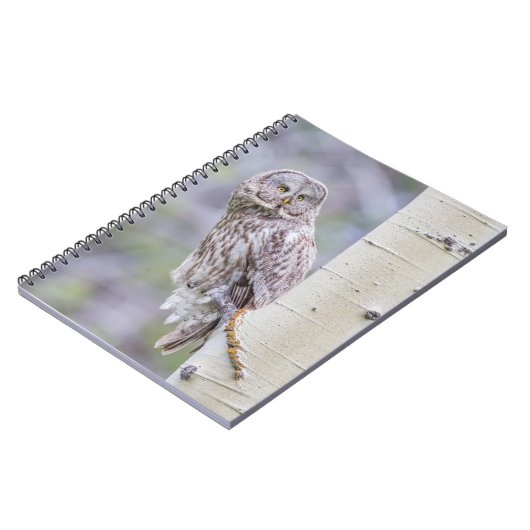 Zweigstelle Great Gray Aspen Tree Notizblock (Linke Seite)