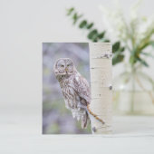 Zweigstelle Great Gray Aspen Tree Postkarte (Stehend Vorderseite)